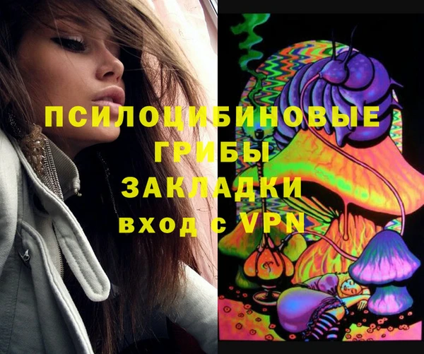 гидропоника Богородск