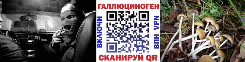Галлюциногенные грибы Magic Shrooms kraken маркетплейс Черногорск